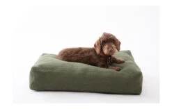 Coussin Pour Chien Elliott En Fibre De Jute (4 Couleurs) -Pet Haven Soldes elliott jute cushions ed87b35c dc71 41f8 adc7 1e108cebccc3