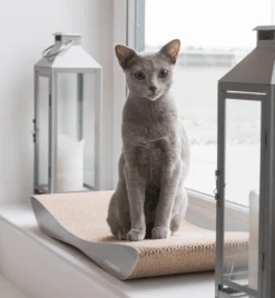 Griffoir En Carton Pour Chat Design TOBI 17 Griffoir En Carton Pour Chat Design TOBI -Pet Haven Soldes eng pl Scratcher TOBI grey 74 9