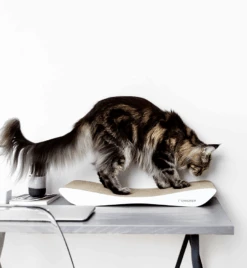 Griffoir En Carton Pour Chat Design TOBI 15 Griffoir En Carton Pour Chat Design TOBI -Pet Haven Soldes eng pl Scratcher TOBI white 19 7