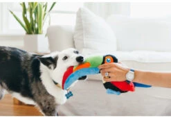 PLAY Peluche Tito Le Toucan -Pet Haven Soldes fetching flock tito the toucan lifestyle image