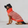 Pull Lisbonne Rouge -Pet Haven Soldes file