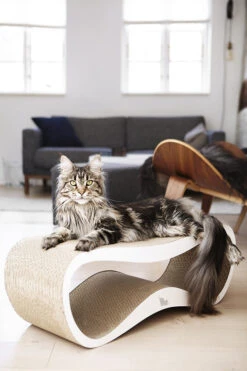 Griffoir Pour Chat Design LUI My Kotty -Pet Haven Soldes fuji oti 24 1