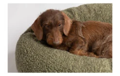 Coussin Apaisant Pour Chien En Laine -Pet Haven Soldes fulvio wool cushions abba2ee1 7ecc 4a5a a15c 969544bd6308