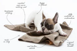 Couverture En Laine Recyclée Ansel Duepuntootto -Pet Haven Soldes grafiche con scritte 16 orig