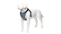 Harnais De Running Pour Chien -Pet Haven Soldes harness blue 3 4 720x b90d0fc6 6902 47b9 82de 4d733c20e99a