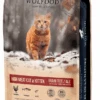 Croquettes Wolfood Chat High Meat Cat & Kitten -Pet Haven Soldes high meat cat kitten1