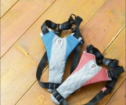 Harnais De Running Pour Chien