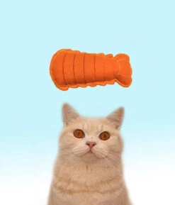 Jouet Pour Chat Queue De Homard à La Valériane