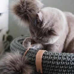 Jouet Pour Chat Tollo -Pet Haven Soldes image 390ffe04 6310 4eb9 aaa9 b04f80768e5b