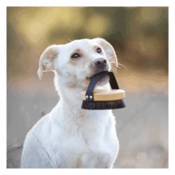 Brosse Pour Poils Courts Lila Loves It -Pet Haven Soldes image 3b0cdc38 ad07 4ef0 991c 0d279b6b653c