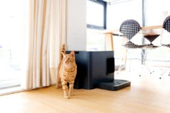 Bac à Litière Pour Chat Hoopo Dome Plus 9 Bac à Litière Pour Chat Hoopo Dome Plus -Pet Haven Soldes image 4344ce67 f84c 4d41 b1a6 44ece2fdbffd