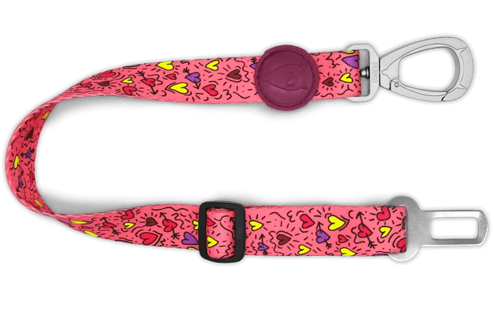 Ceinture De Sécurité Morso 9 Ceinture De Sécurité Morso – Image 7