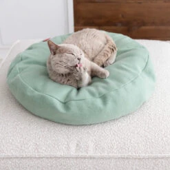 Lit De Luxe Pour Chat Donut -Pet Haven Soldes image 597c67ed 3652 4cd9 9091 b5c826bb4c96