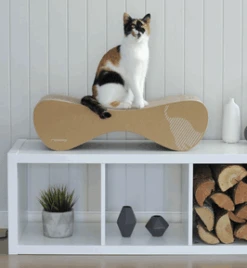 Griffoir Design Pour Chat En Carton - VIGO - MY KOTTY -Pet Haven Soldes image 70ae728d 949a 4c4d b25f bce24b99a81c