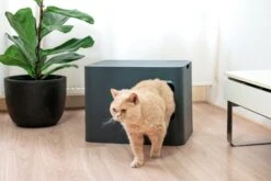 Bac à Litière Pour Chat Hoopo® Dome -Pet Haven Soldes image 7c8fa64b db15 43fb 84e0 a9495e9af7c2