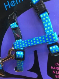 Harnais Et Laisse à Pois Pour Chat 13 Harnais Et Laisse à Pois Pour Chat -Pet Haven Soldes image 9c6b61b8 3f17 4850 9b2a beb28f015ea9