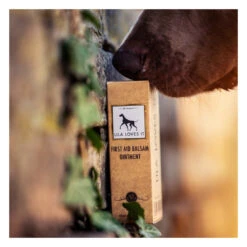 Sérum Premiers Soins Pour Chien Et Chat -Pet Haven Soldes image 9e0456c3 c897 4394 945c f324549d4041