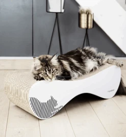 Griffoir Design Pour Chat En Carton - VIGO - MY KOTTY -Pet Haven Soldes image abbf79fe 2bb8 4124 aaa8 bc880fee5574