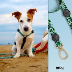 Harnais En H Pour Chien Rage Labyrinth -Pet Haven Soldes image af697aea d338 40d3 8ab0 6fca5a1dfbe2