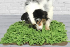 Tapis De Fouille Gazon Schnüffelrasen -Pet Haven Soldes image b79f824c fdab 44fd a29b 8e1f14c77a04