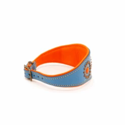 Collier Pour Lévrier En Cuir Dwam -Pet Haven Soldes image ba14bda9 e908 4bc5 8610 0dab6d9cc0ce