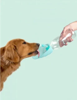Gourde Pour Chien Avec Distributeur D’eau -Pet Haven Soldes image da096c9f e155 4014 a19b 6373ed4b7a8d