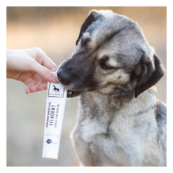 Dentifrice Naturel Pour Chien Et Chat -Pet Haven Soldes image ee74d3ba 367b 4988 9f23 101814c9767e