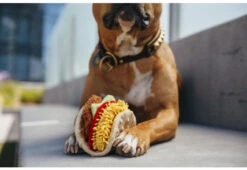 PLAY Peluche Tacos Pour Chien Collection International Classic -Pet Haven Soldes international classic toy collection by p.l.a.y. tail wagging taco