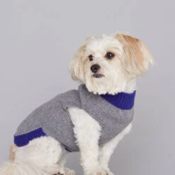 Pull En Laine Pour Chien Mark -Pet Haven Soldes jersey mark r gris