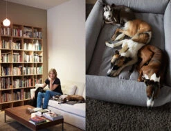 Panier Pour Chien Tweed Gris Clair Sleepy Deluxe -Pet Haven Soldes katharina von der leyen luise harry fritz gretel sleepy deluxe