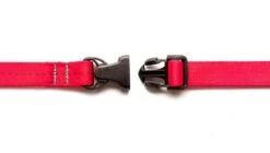 Laisse Souple Everyday (3 Couleurs) -Pet Haven Soldes laisse2