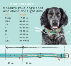 Collier En Cuir Paddy Lee Dwam -Pet Haven Soldes maattabel collars en cm