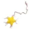 Jouet Pour Chat Star à La Cataire -Pet Haven Soldes magicstar 444x444 3abf2c22 7ccb 4538 95b5 f0cc1608d6ab