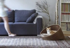 Panier Pour Chien Et Chat Design Covo -Pet Haven Soldes mc beds covo walnut singha room shoot 563 300x205 1