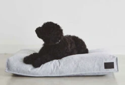 Coussin Pour Chien Divo -Pet Haven Soldes mc c01 012 01 m sleep divo cushion pebble oskar 464