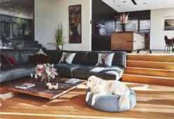 Pouf Pour Chien Stella -Pet Haven Soldes mc c01 015 02 ml sleep stella pouffe slate fly 132