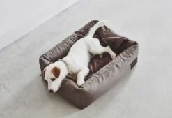 Panier Pour Chien Divo -Pet Haven Soldes mc c02 008 03 s sleep divo boxbed mocca duke 5 185
