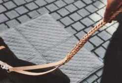 Laisse Pour Chien En Cuir Bergamo 13 Laisse Pour Chien En Cuir Bergamo -Pet Haven Soldes mc c05 009 02 walk bergamo long lead natural simba 1 356