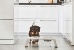 Double écuelle Surélevée Design Pour Chien Desco Bois 13 Double écuelle Surélevée Design Pour Chien Desco Bois -Pet Haven Soldes mc c06 007 02 m eat desco ash white simba 2205 2