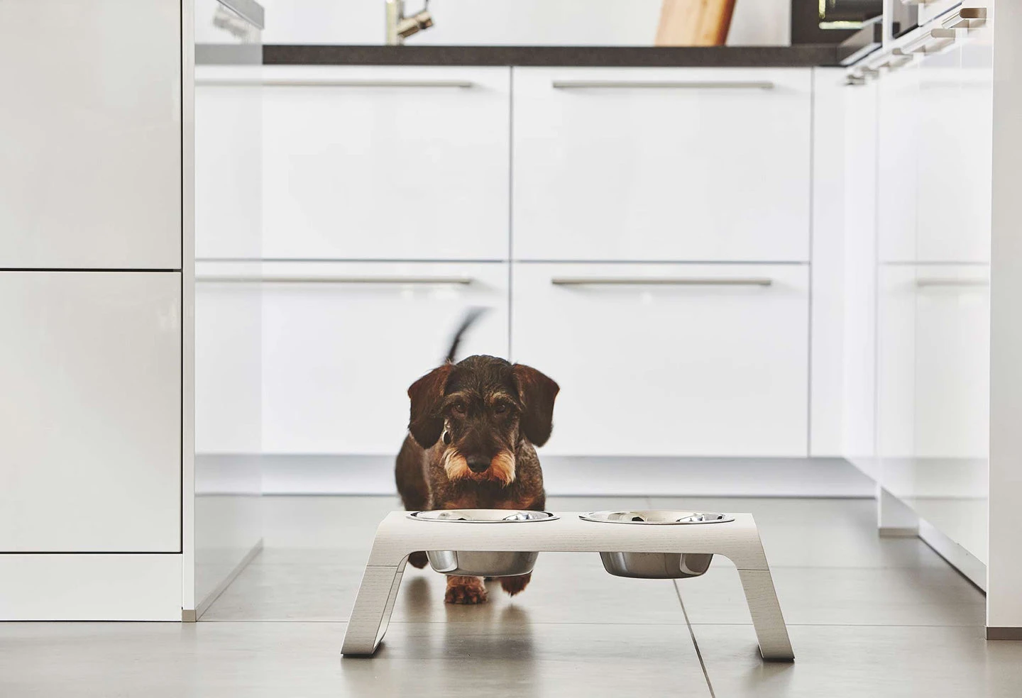 Double écuelle Surélevée Design Pour Chien Desco Bois 7 Double écuelle Surélevée Design Pour Chien Desco Bois – Image 5