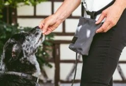 Sac à Récompenses Lupo Miacara -Pet Haven Soldes mc c13 006 01 accessories lupo snack bag graphite 6