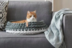 Panier Pour Chat Nido -Pet Haven Soldes mc g02 005 02 sleep nido grey singa 2 261 web 1 67c500f2 ec6e 4f82 9813 cd3b4e15c214