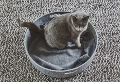 Panier Pour Chat Design Cesto -Pet Haven Soldes mc g02 008 01 sleep cesto concrete mia 1423 984