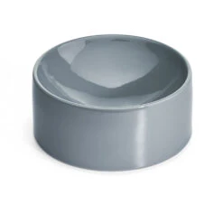 Bol En Porcelaine Pour Chat Fresco