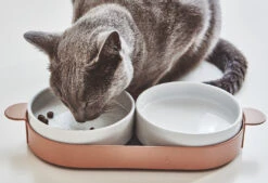 Bols Doubles Pour Chat Tavoletta -Pet Haven Soldes mc g06 010 02 eat tavoletta cat feeder nude mia 06 1