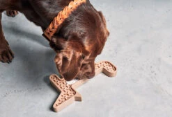 Jeu D'activité Volpe -Pet Haven Soldes mc volpe nude2