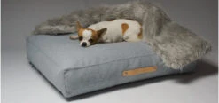 Coussin Pour Chien De Style Nordique -Pet Haven Soldes oslo 72d9cb05 b068 490c ad7e 5268a31d5877
