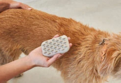 Brosse Pour Chien (poil Court Et Long) -Pet Haven Soldes pelo bildergalerie2