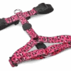 Harnais En H Pour Chien Bubble Leo -Pet Haven Soldes pettorina h bubble leo header top transparent