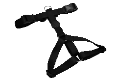 Harnais En H Pour Chien Caviar -Pet Haven Soldes pettorina h pureness header top transparent 03